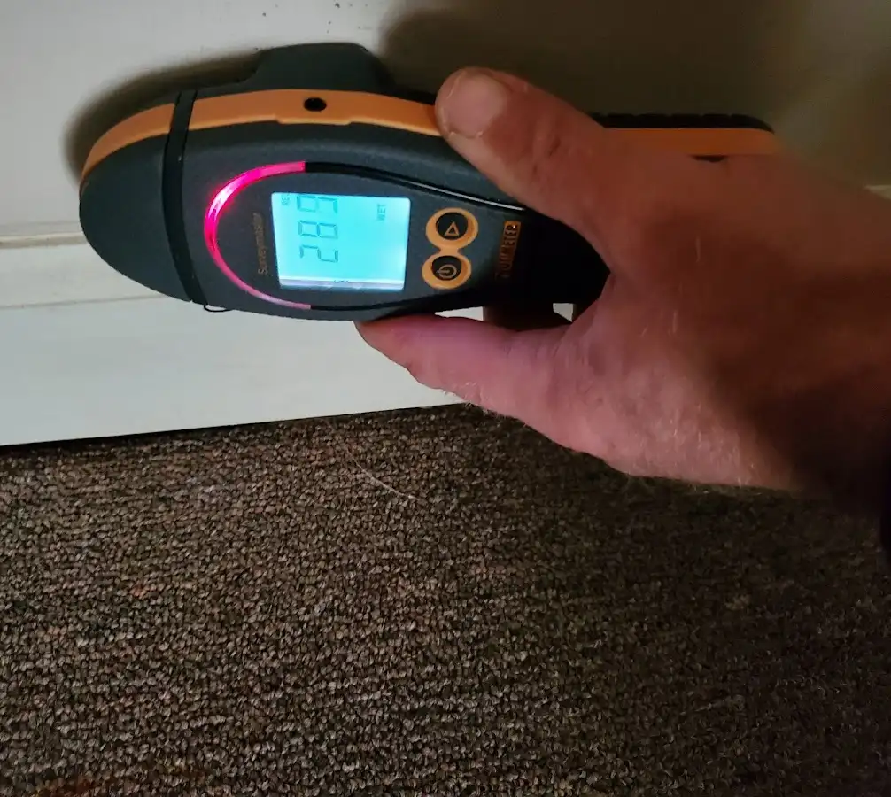 Moisture detection at baseboard during Burst Pipe Cleanup in Reading